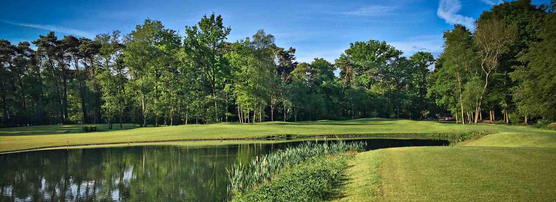 Rinkven Golf Club: A Golfer's Paradise in Belgium - YourGolfGOATS